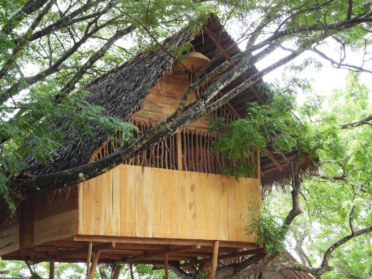Yala Village Eco Tree House Tissamaharama Kültér fotó