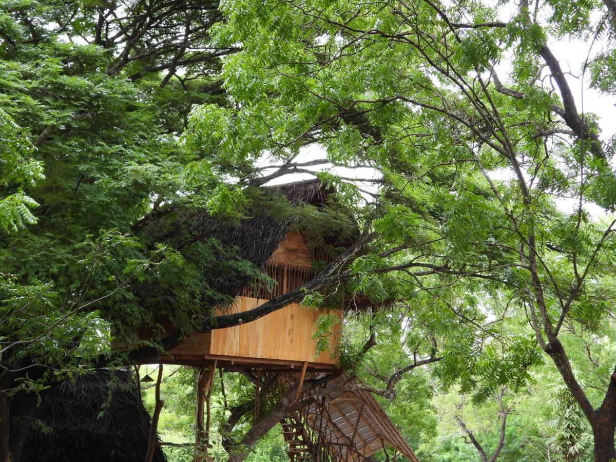 Yala Village Eco Tree House Tissamaharama Kültér fotó