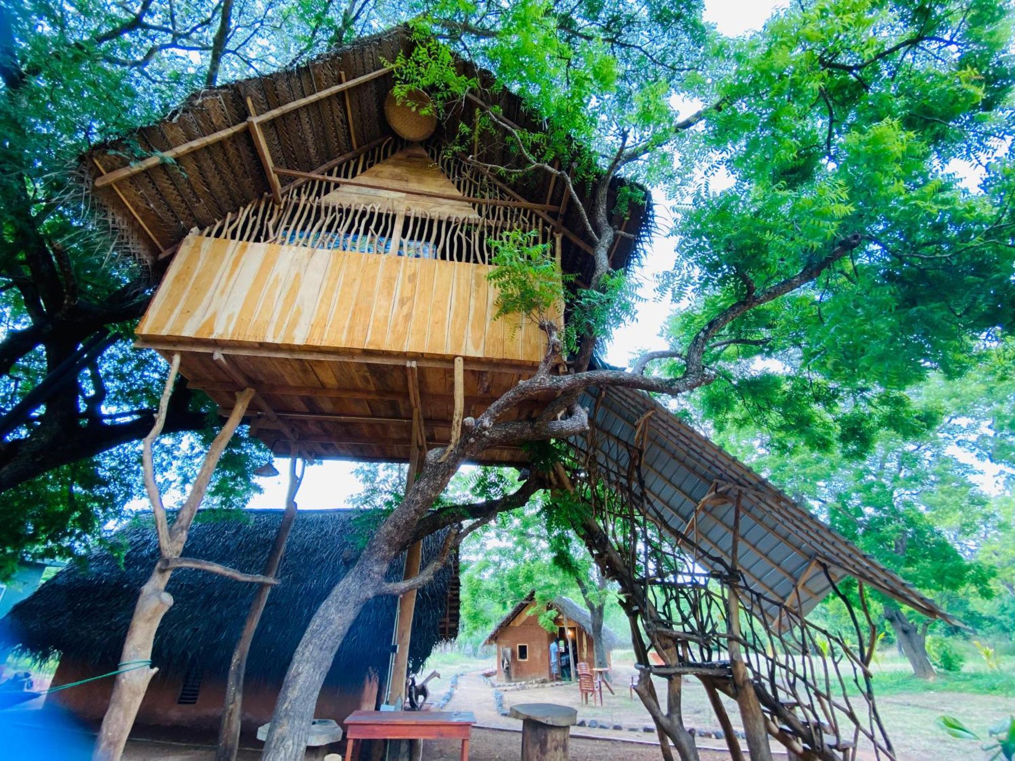 Yala Village Eco Tree House Tissamaharama Kültér fotó