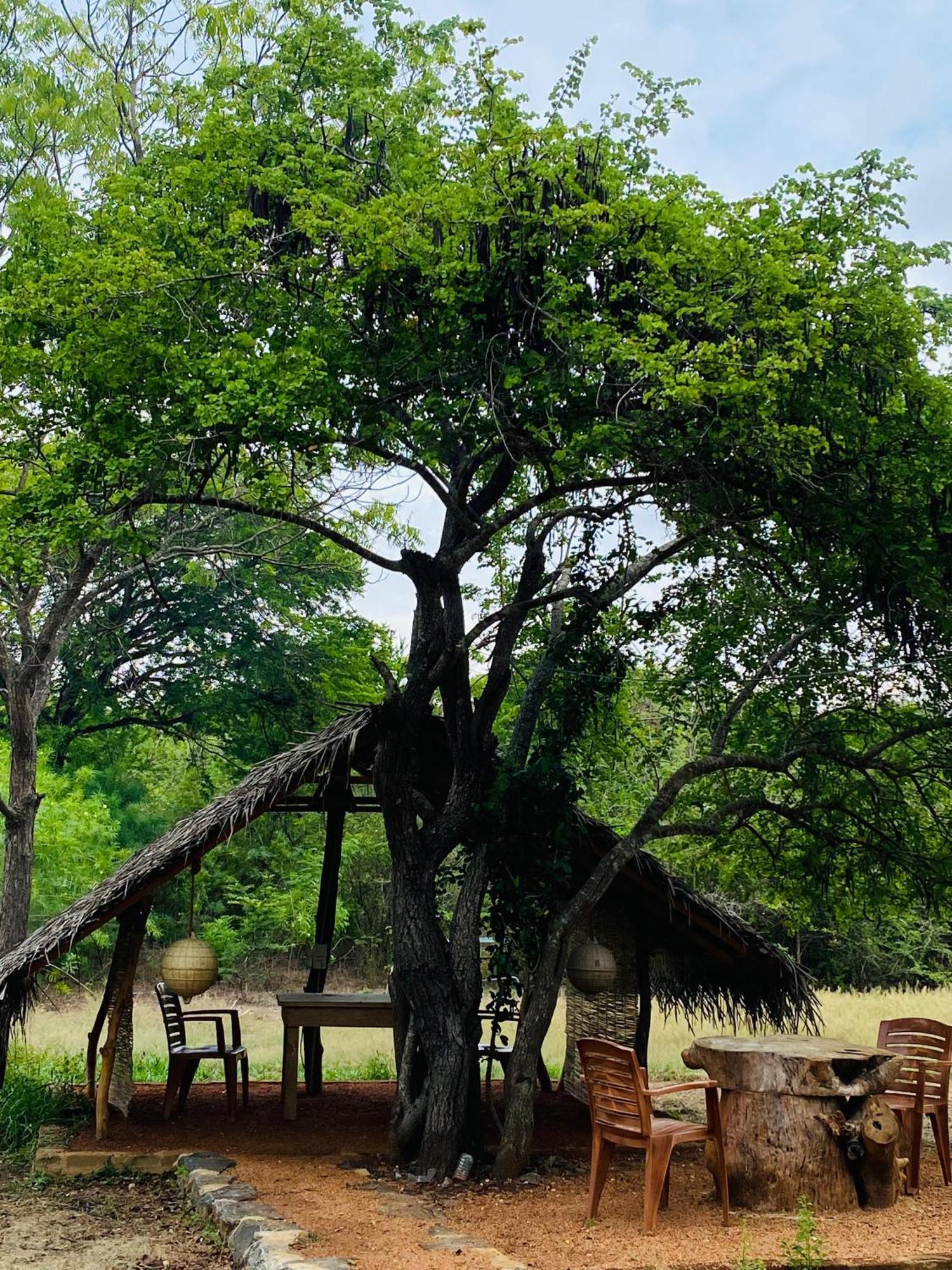 Yala Village Eco Tree House Tissamaharama Kültér fotó